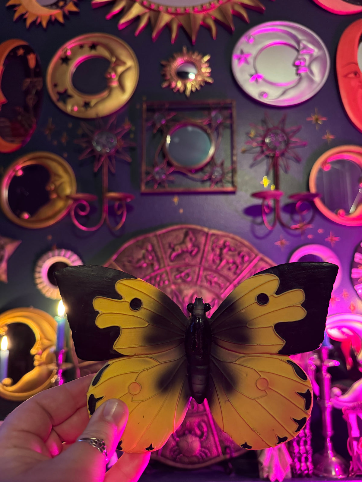 Yellow Butterfly Wall Plaque LTD